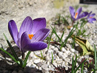 Ubytování u Lago di Garda